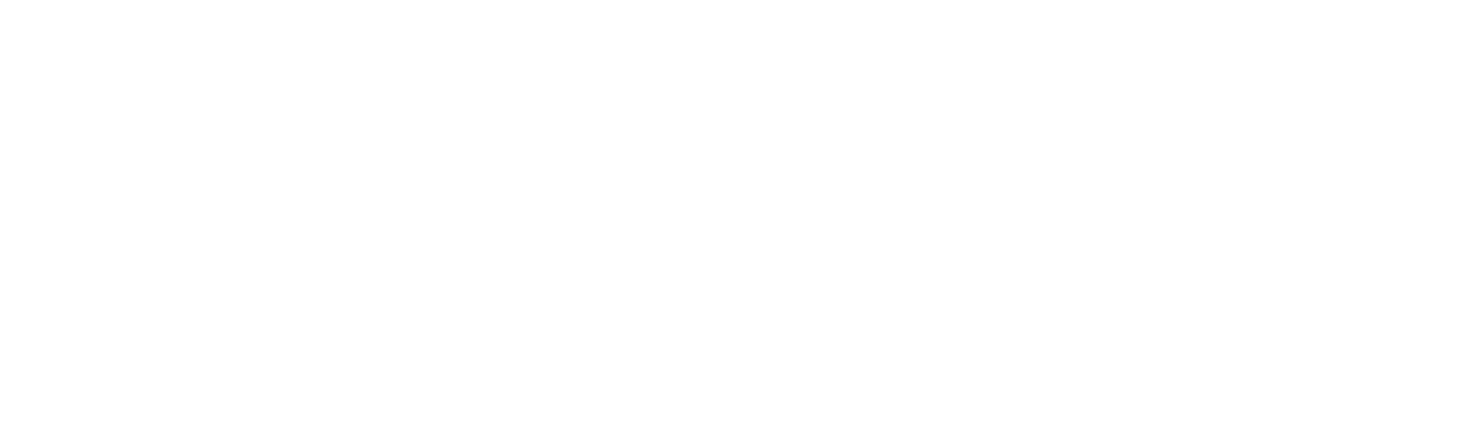 cornell-reduced-wordmark-white LSE logo