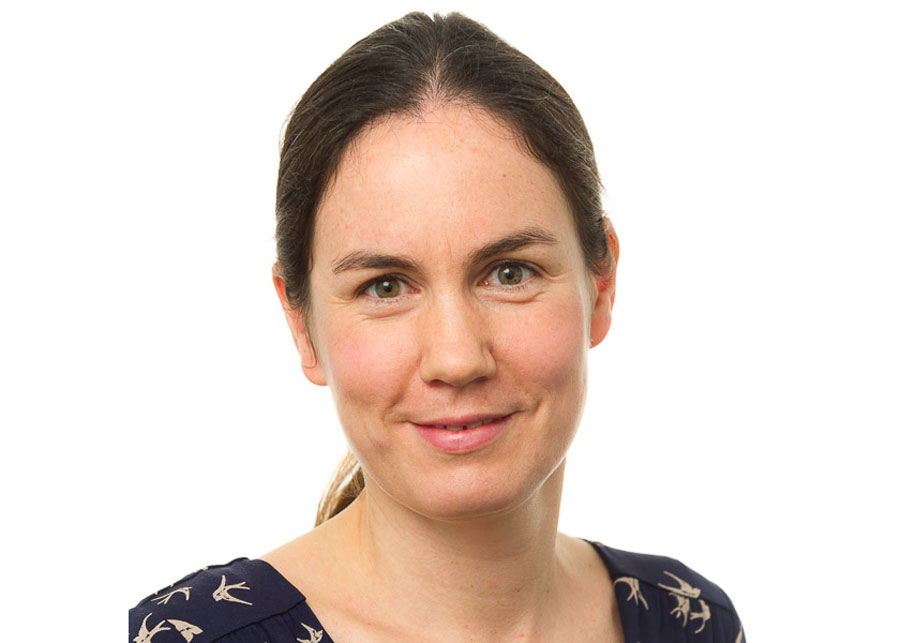 Jane Hollywood – Intellectual Property
